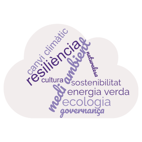 wordcloud